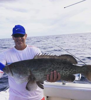 Grouper in Madeira Beach, FL